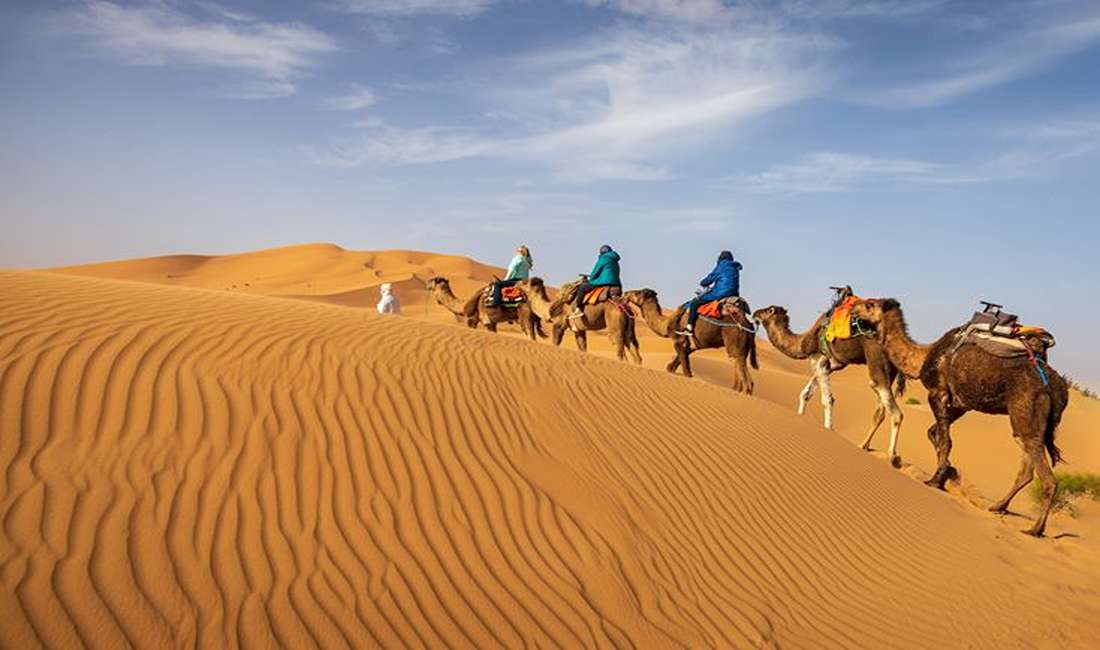 Camel riding